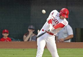 Baseball: Tigers vs. Angels