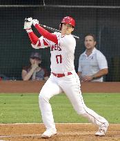 Baseball: Tigers vs. Angels