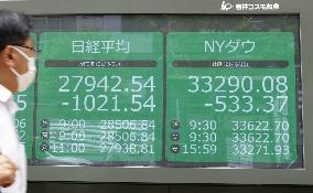 Tokyo stocks plunge