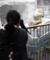 Reopening of Osaka zoo
