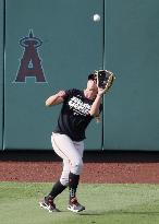 Baseball: Giants assistant coach Alyssa Nakken