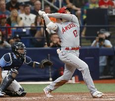 Baseball: Angels vs. Rays