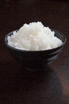 Japanese rice