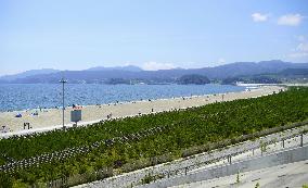 Tsunami-hit northeastern Japan beach reopens
