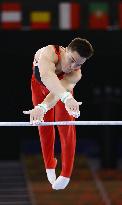 Tokyo Olympics: Artistic Gymnastics