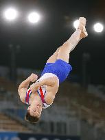 Tokyo Olympics: Artistic Gymnastics