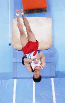 Tokyo Olympics: Artistic Gymnastics