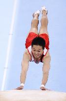 Tokyo Olympics: Artistic Gymnastics