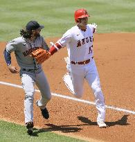 Baseball: Astros vs. Angels