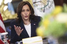 Vice President Harris holds a virtual bilateral meeting with Guatemalan President