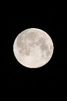 Pink Supermoon Set - Paris