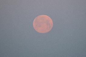 Pink Supermoon Set - Paris