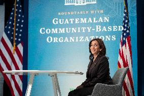 Vice President Kamala Harris Meets With Guatemalan Ambassador