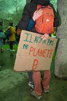 Fridays for Future - Toulouse