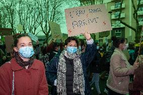 Fridays for Future - Toulouse