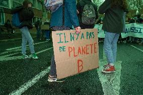 Fridays for Future - Toulouse