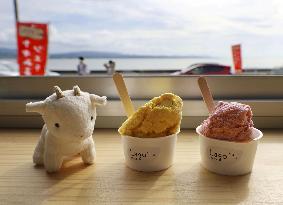 Goat milk gelato in western Japan