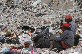 Garbage Collectors - Mexico