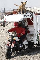 Garbage Collectors - Mexico