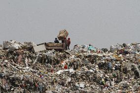 Garbage Collectors - Mexico