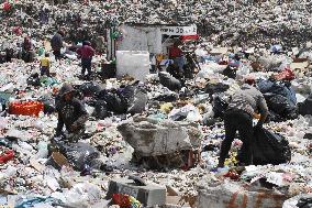 Garbage Collectors - Mexico