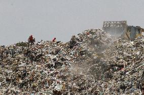 Garbage Collectors - Mexico