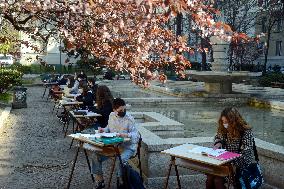 Student Working Outside - Milan