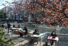 Student Working Outside - Milan
