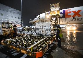 Moderna COVID-19 Vaccine From Europe - Toronto