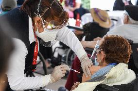 Mexico Revises Coronavirus Death Toll Up By 60 %