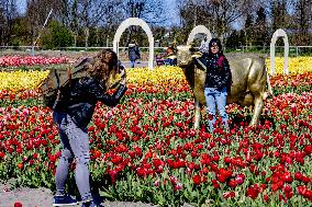 Keukenhof Welcomes Visitors For Tulip Season - Netherlands