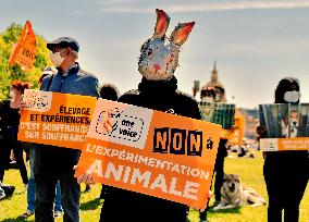 Stop animal testing Protest in Paris