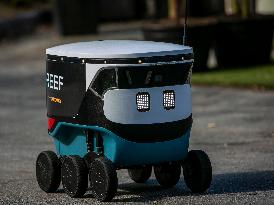 Delivery Robot - Miami