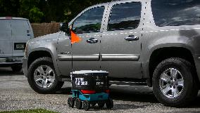 Delivery Robot - Miami
