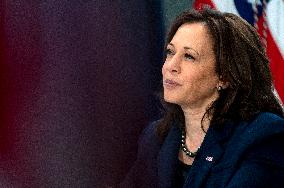Vice President Harris Meets with Community Leaders about COVID-19 Public Education