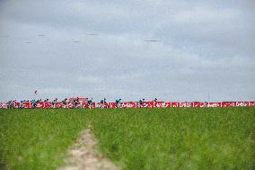 Tour des Flandres