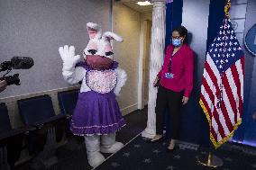 Easter bunny at the White House