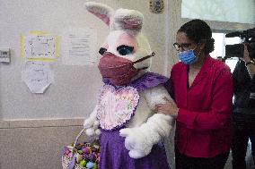 Easter bunny at the White House