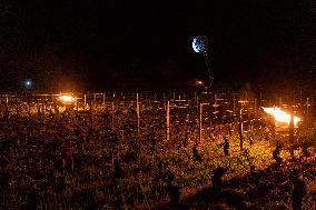 Candles In The Côte D'or Vineyards To Combat Frost