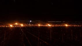 Candles In The Côte D'or Vineyards To Combat Frost