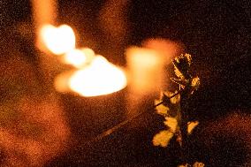 Candles In The Côte D'or Vineyards To Combat Frost