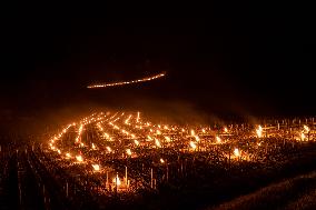 Candles In The Côte D'or Vineyards To Combat Frost