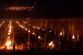 Candles In The Côte D'or Vineyards To Combat Frost