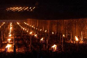 Candles In The Côte D'or Vineyards To Combat Frost