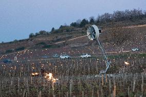 Candles In The Côte D'or Vineyards To Combat Frost