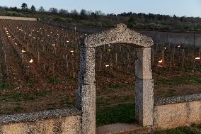 Candles In The Côte D'or Vineyards To Combat Frost