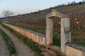 Candles In The Côte D'or Vineyards To Combat Frost