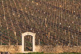 Candles In The Côte D'or Vineyards To Combat Frost