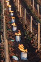 Candles In The Côte D'or Vineyards To Combat Frost