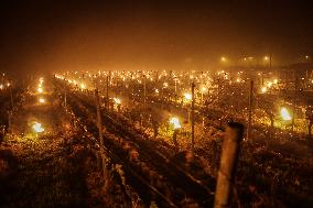 Frost Episode In The Vineyards Of Saint Emilion